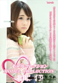 【モデルコレクション】の一覧画像