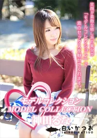 【モデルコレクション】の一覧画像