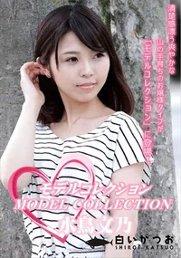 【モデルコレクション】の一覧画像