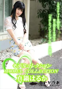 【モデルコレクション】の一覧画像