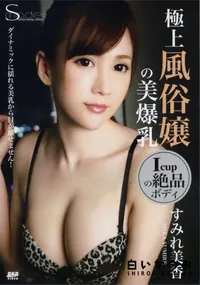 【S Model SSDV Vol.08 極上風俗嬢の美爆乳 すみれ美香】の一覧画像