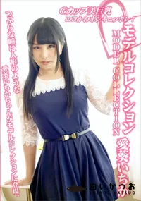 【モデルコレクション】の一覧画像