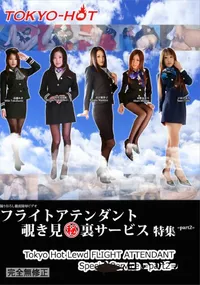 【フライトアテンダント覗き見秘裏サービス 特集 part2】の一覧画像