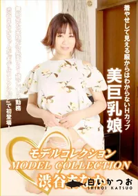 【モデルコレクション】の一覧画像