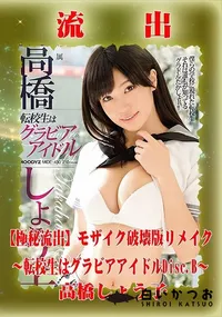 【【極秘流出】 高橋しょう子 モザイク破壊版リメイクDisc.B】の一覧画像