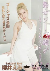 【熟女ソープ嬢がネットリご奉仕いたします Vol.4】の一覧画像