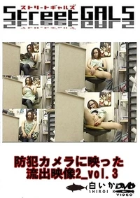 【防犯カメラに映った流出映像2_voｌ.3】の一覧画像