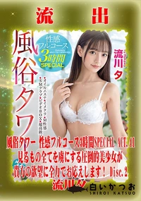 【【極秘流出】 流□夕 リメイク Disc.2】の一覧画像