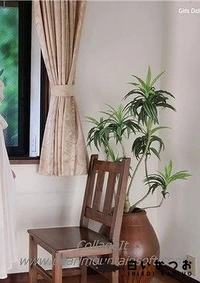 【パイパン女子 YAEKO 林耶栄子】の一覧画像